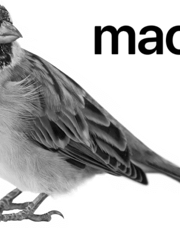 Silver Sparrow Malware